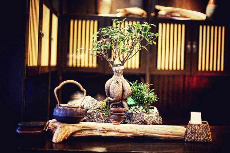 Ningbo Zhengfang Inn Екстер'єр фото